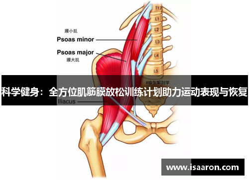 科学健身：全方位肌筋膜放松训练计划助力运动表现与恢复