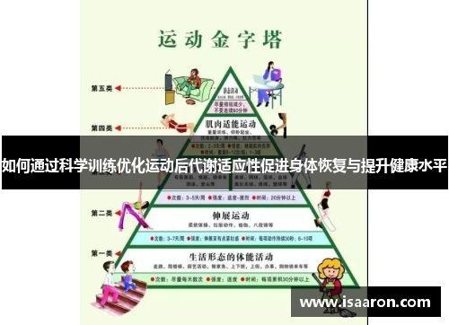如何通过科学训练优化运动后代谢适应性促进身体恢复与提升健康水平