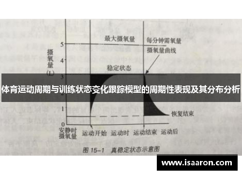 体育运动周期与训练状态变化跟踪模型的周期性表现及其分布分析