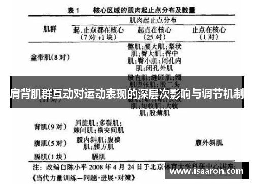 肩背肌群互动对运动表现的深层次影响与调节机制