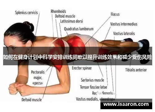 如何在健身计划中科学安排训练间歇以提升训练效果和减少受伤风险