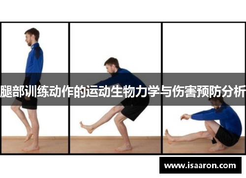 腿部训练动作的运动生物力学与伤害预防分析